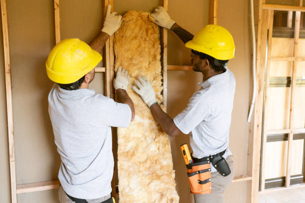 Best Basement Insulation  in Albertson, NY