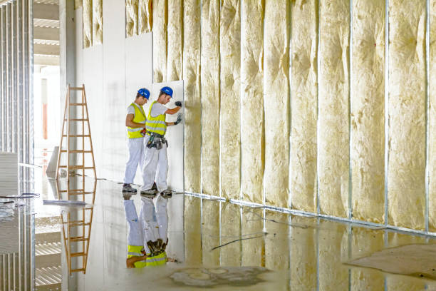 Best Radiant Barrier Insulation  in Albertson, NY